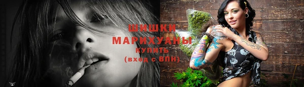стаф Богородицк