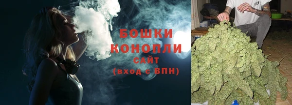 стаф Богородицк
