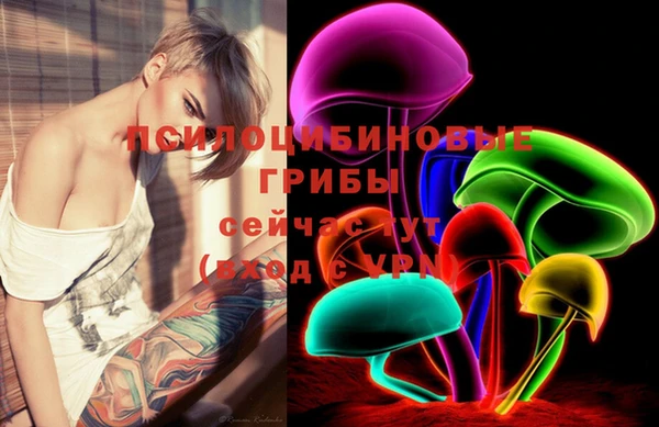 бошки Богданович