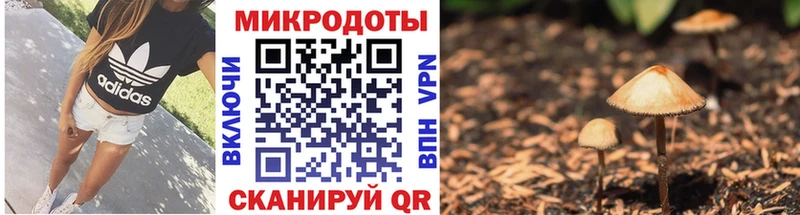 купить закладку  Вельск  Галлюциногенные грибы Psilocybine cubensis 